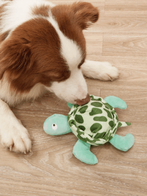 Juguete tortuga para mascotas